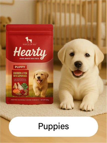 Puppies