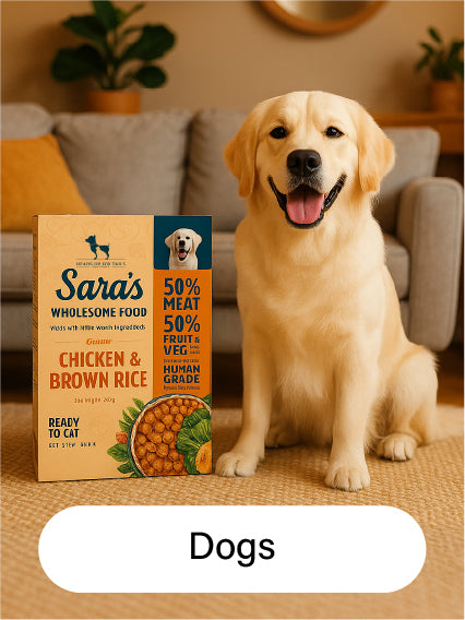 Dogs