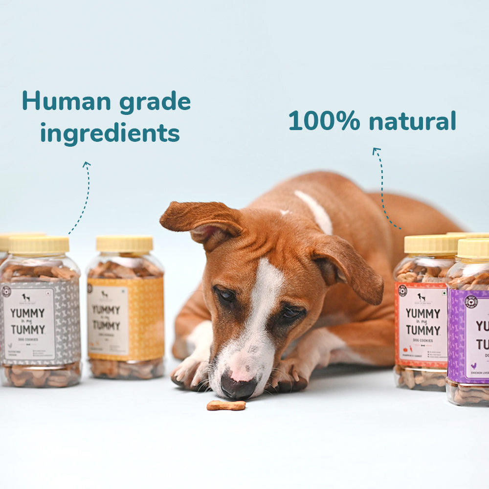 HUFT YIMT Pumpkin and Carrots Vegetarian Dog Biscuits - Heads Up For Tails