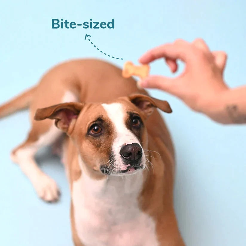 HUFT YIMT Banana & Peanut Butter Dog Biscuits