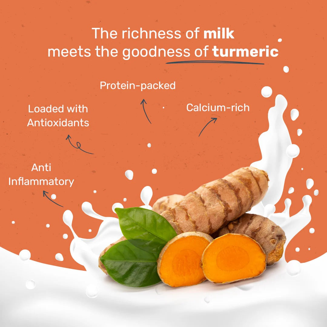 HUFT Yakies Vegetarian Natural Chew Bone - Turmeric