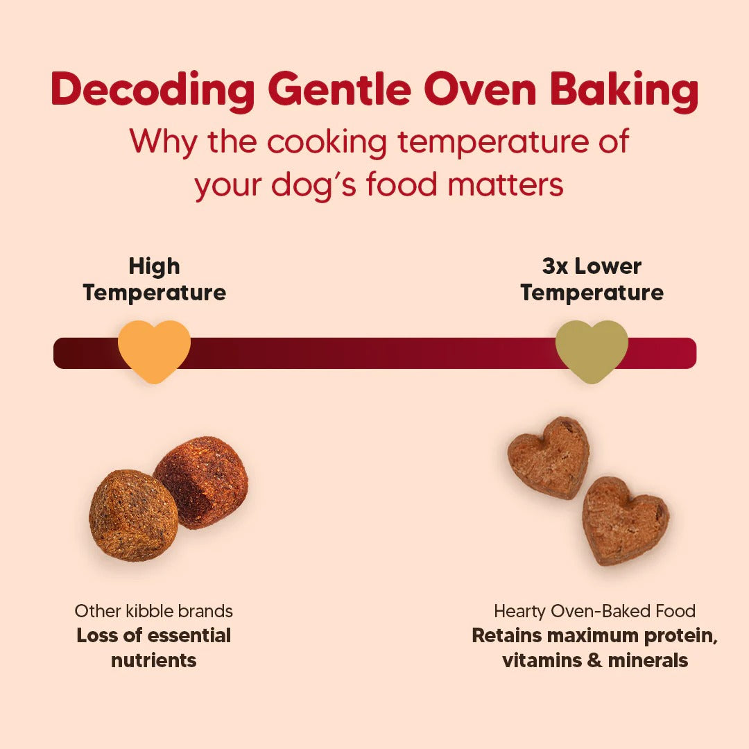 Hearty Oven-Baked Dry Food For Adult Dogs With Chicken, Duck & Brown Rice  - All Breed 2Kilograms