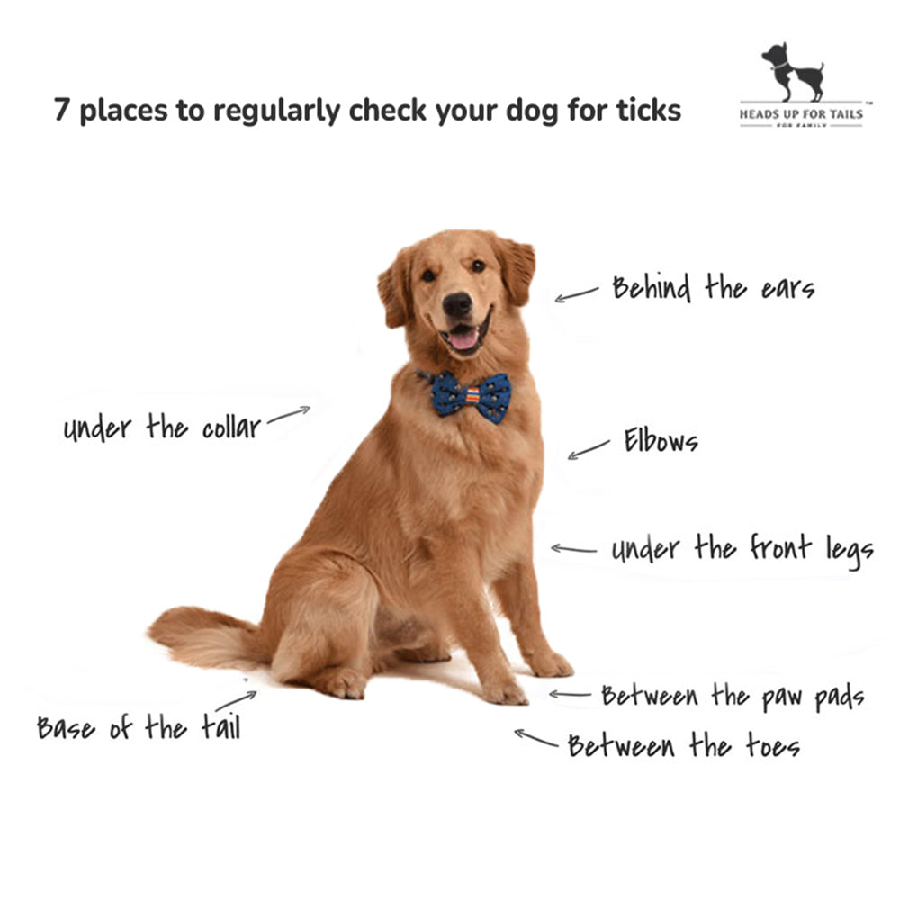 HUFT بخاخ عضوي مضاد للقراد والبراغيث للكلاب - 200 مل