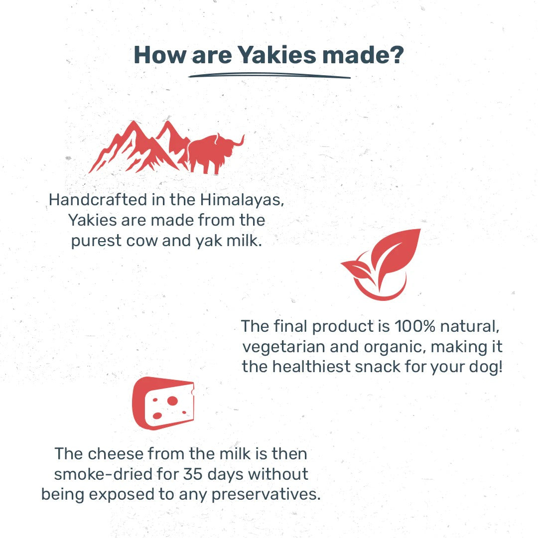 HUFT Yakies Vegetarian Natural Chew Bone - Apple