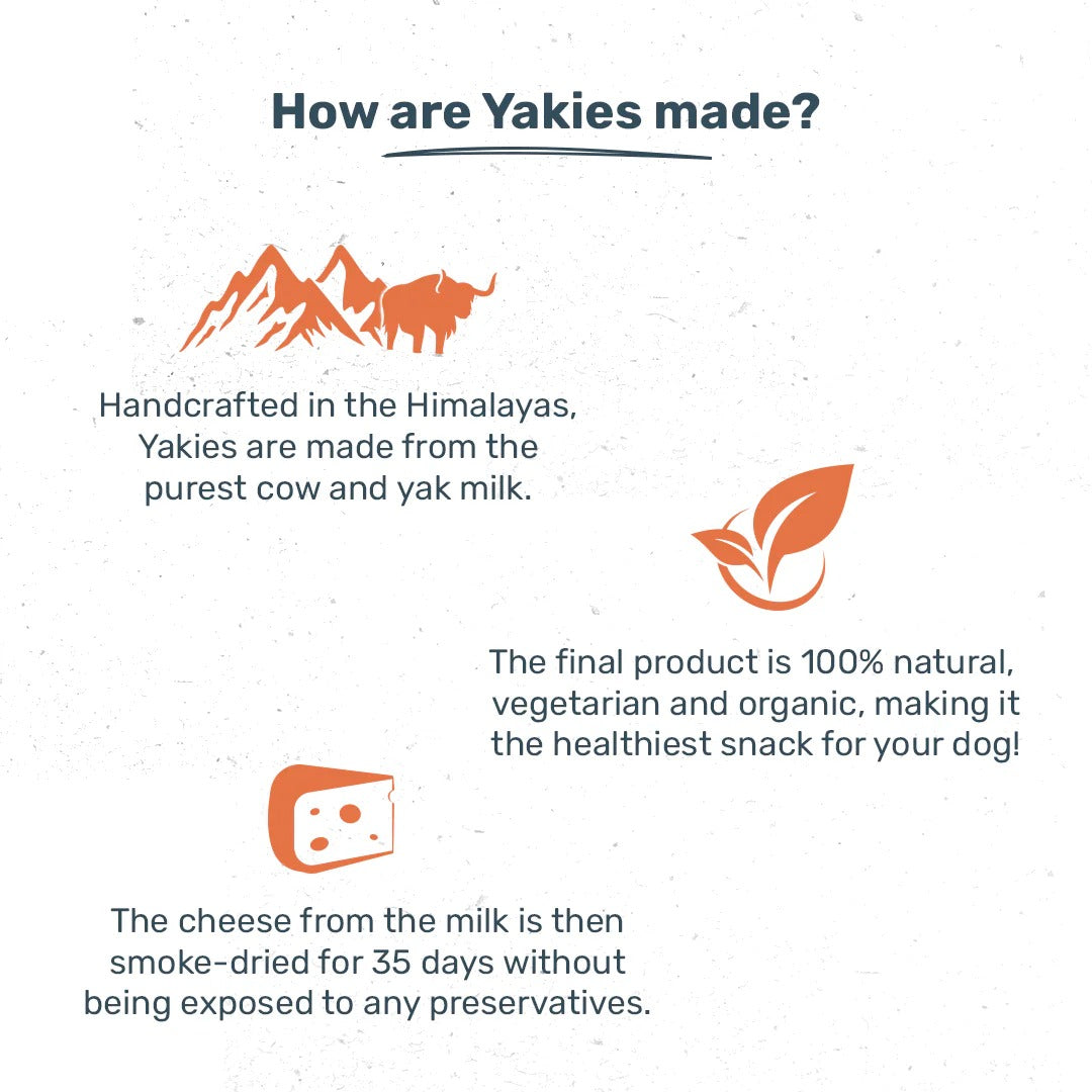 HUFT Yakies Vegetarian Natural Chew Bone - Turmeric