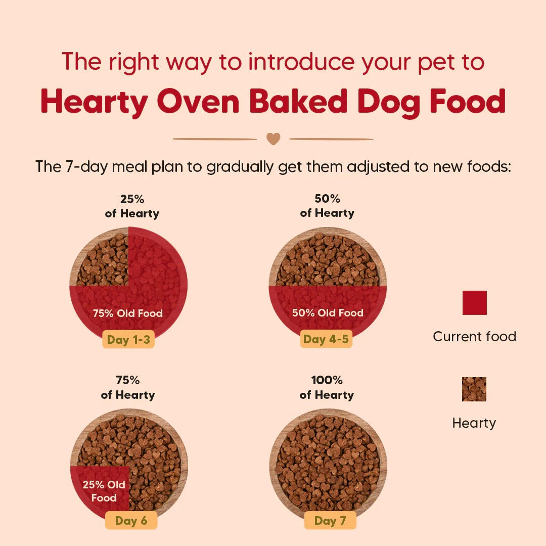 Hearty Oven-Baked Dry Food For Adult Dogs With Chicken, Duck & Brown Rice  - All Breed 2Kilograms