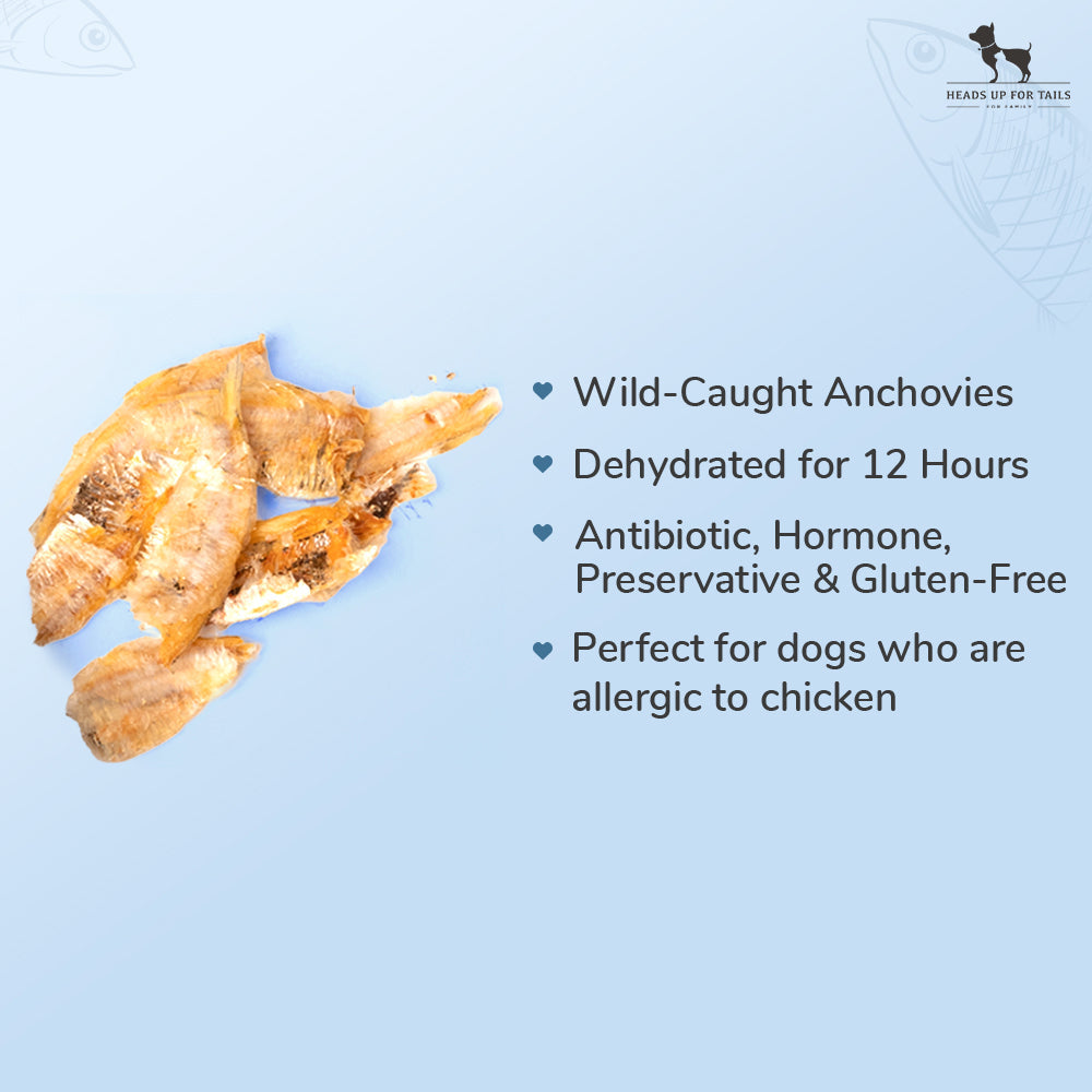 Sara's Dehydrated Anchovy Doggie Treats - 70 g - Heads Up For Tails