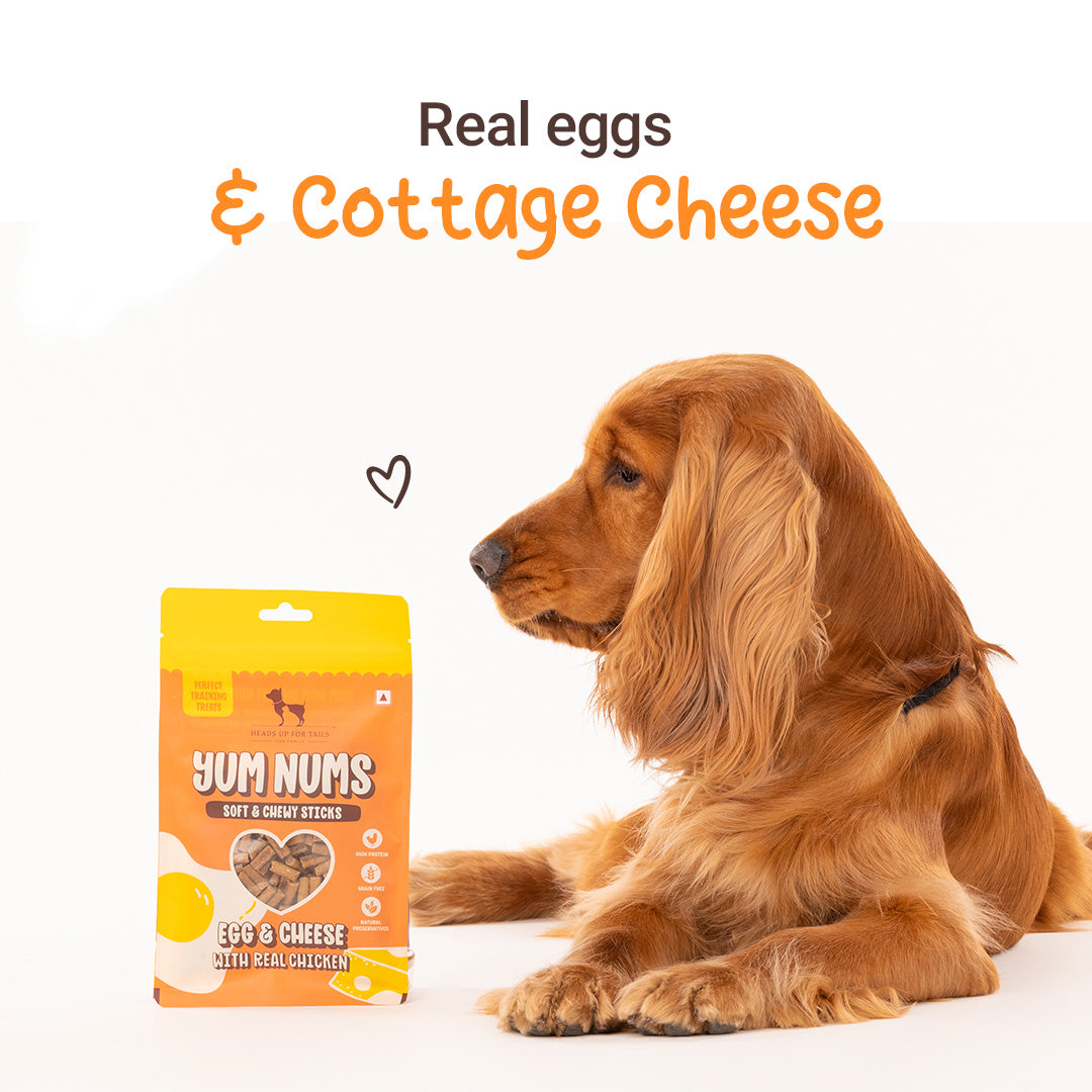 HUFT Yum Nums Soft & Chewy Sticks Egg & Cheese With Real Chicken Treat For Dogs - 75g - Heads Up For Tails