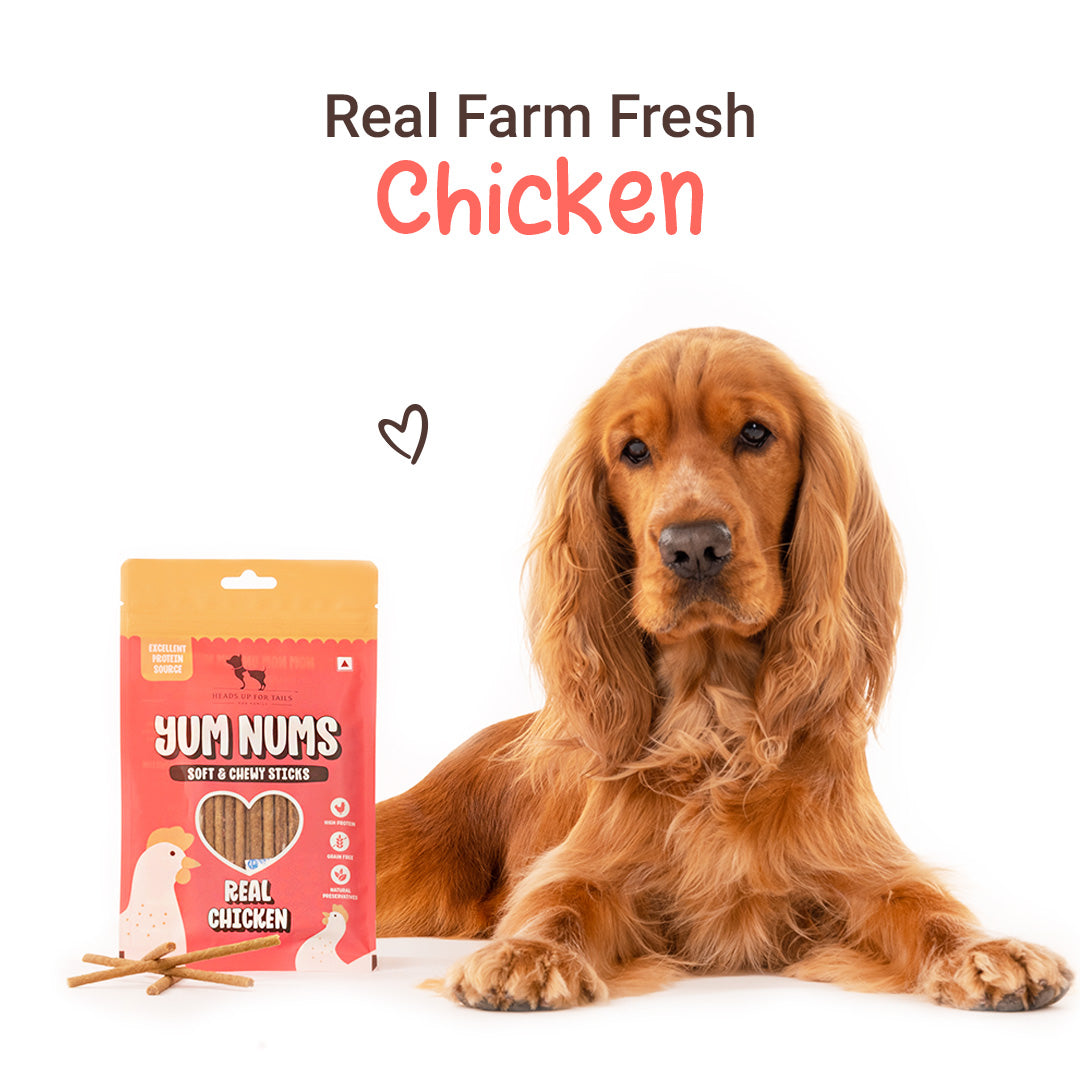 HUFT Yum Nums Soft & Chewy Sticks Real Chicken Treat For Dogs - 75g - Heads Up For Tails