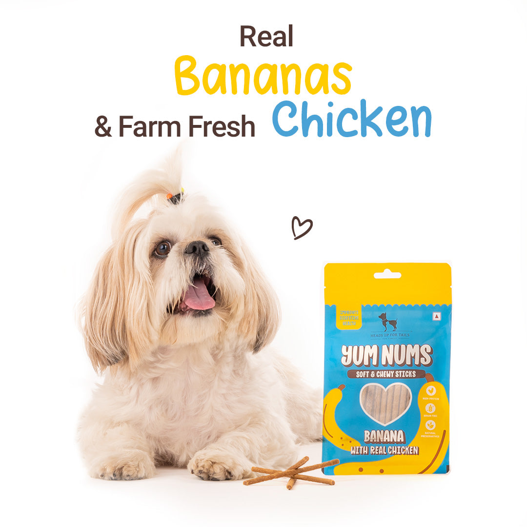 HUFT Yum Nums Soft & Chewy Sticks Banana with Real Chicken Treat For Dogs - 75g - Heads Up For Tails