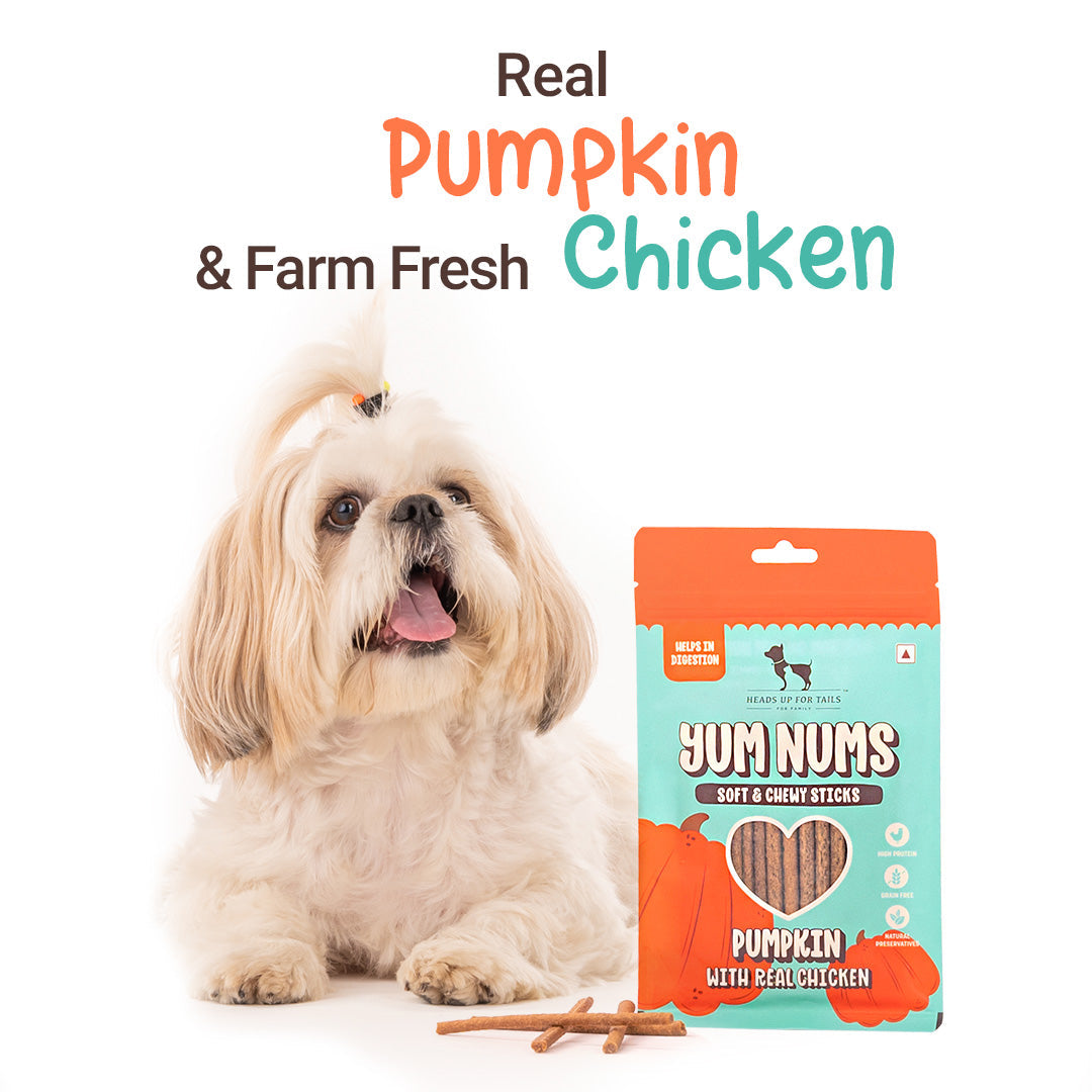HUFT Yum Nums Soft & Chewy Sticks Pumpkin with Real Chicken Treat For Dogs - 75g - Heads Up For Tails