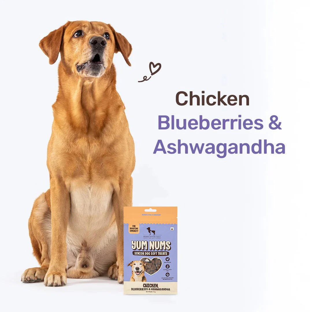 HUFT Yum Nums Senior Dog Treats Soft & Chewy Sticks Blueberries & Ashwagandha With Chicken - 70 gm