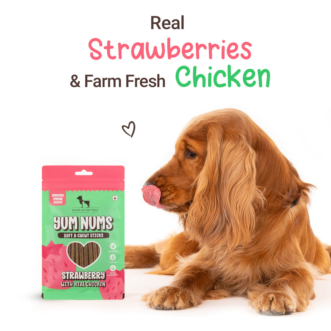 HUFT Yum Nums Soft & Chewy Sticks Strawberry with Real Chicken Treat For Dogs - 75g - Heads Up For Tails