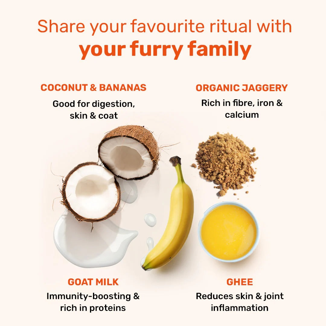 HUFT YIMT Chai Time Special Coconut Cabana Dog Biscuits - 200 gm