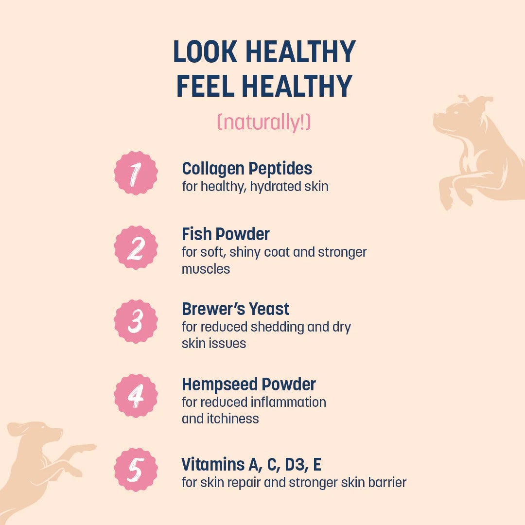 Sara's Boosters Skin & Coat Health Supplement For Dogs - 200 gm