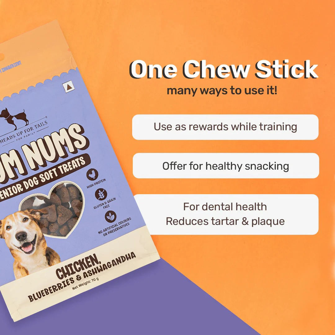 HUFT Yum Nums Senior Dog Treats Soft & Chewy Sticks Blueberries & Ashwagandha With Chicken - 70 gm