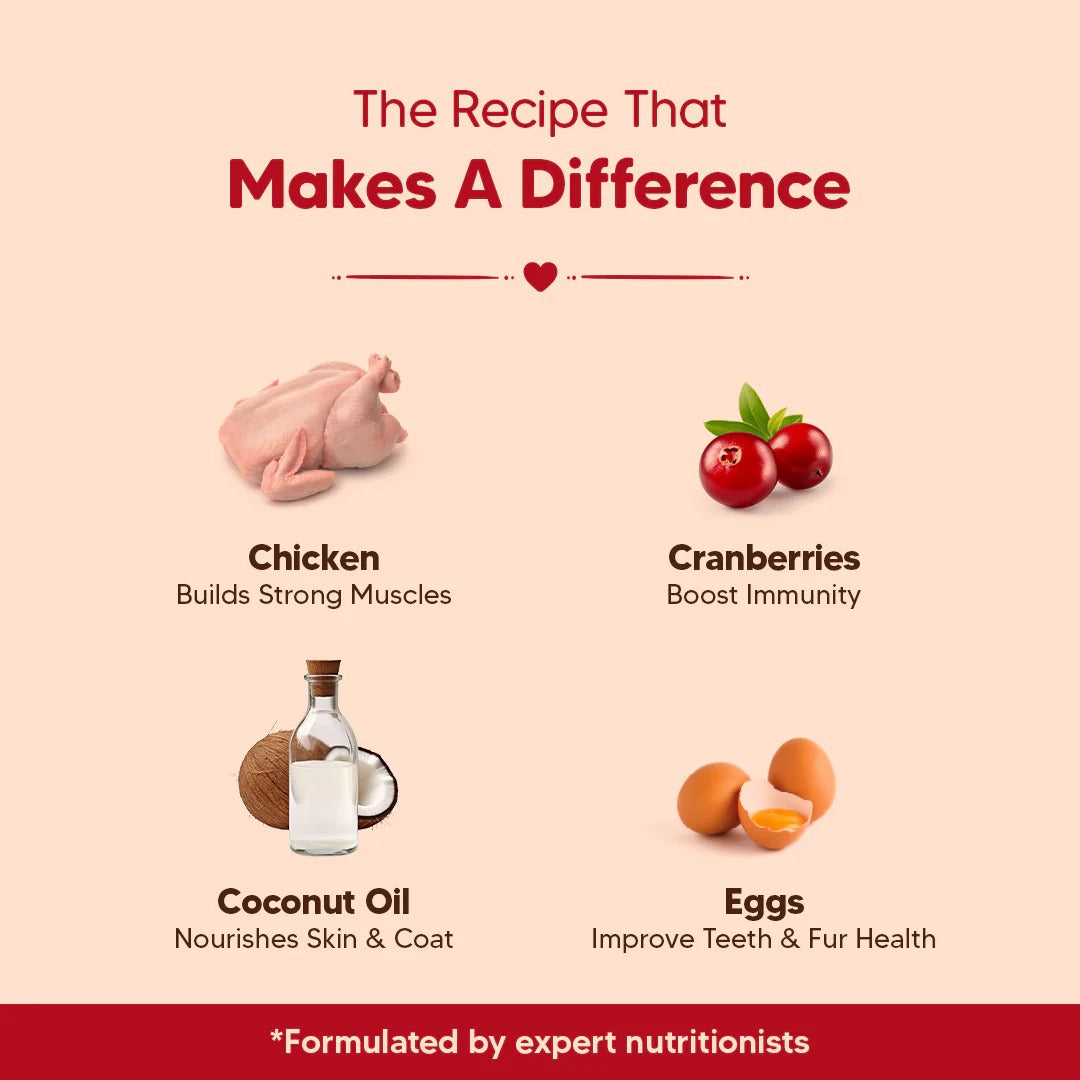 Hearty Chicken & Cranberries Healthy Dog Biscuits - 320 gm