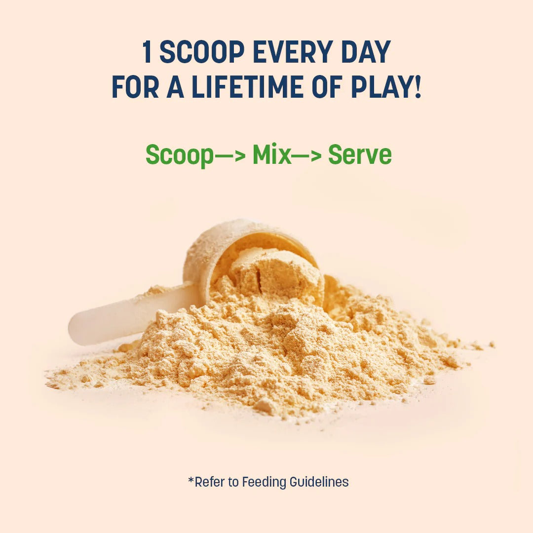 Sara's Boosters Gut & Digestive Health Supplement For Dogs - 200 gm