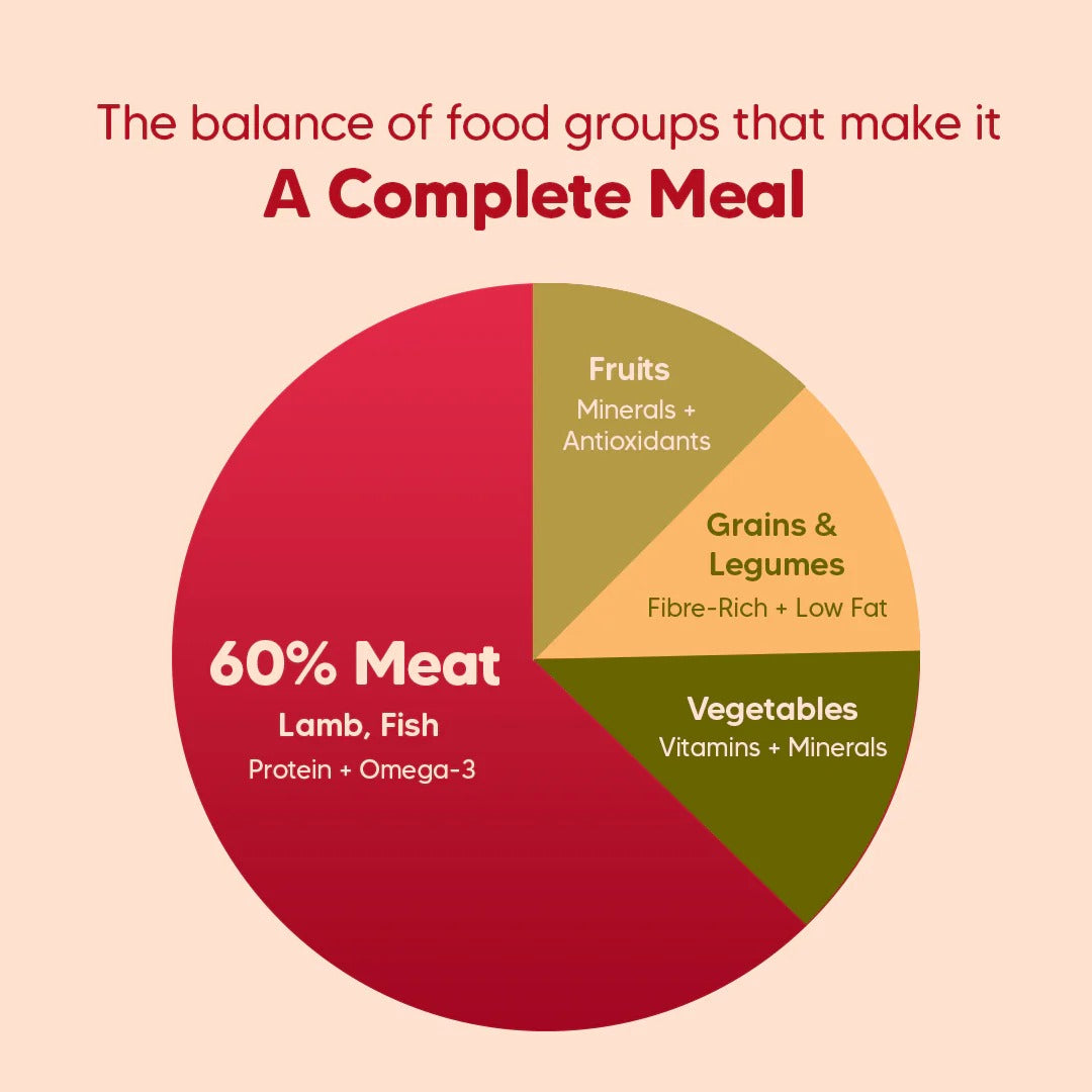 Hearty Lamb & Blueberry Oven-Baked Adult Dog Food - All Breeds