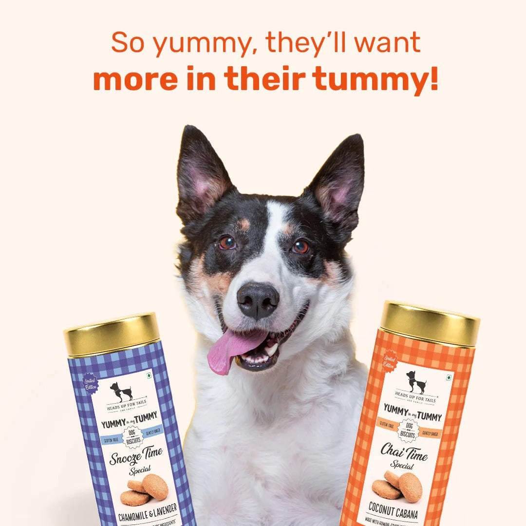 HUFT YIMT Chai Time Special Coconut Cabana Dog Biscuits - 200 gm