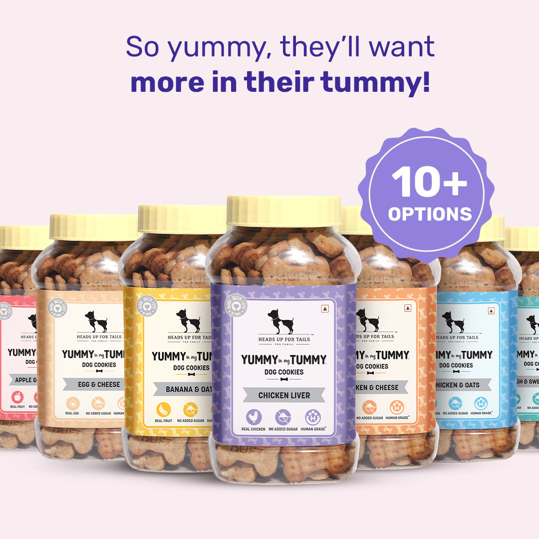 HUFT YIMT Chicken Liver Dog Biscuits - Heads Up For Tails