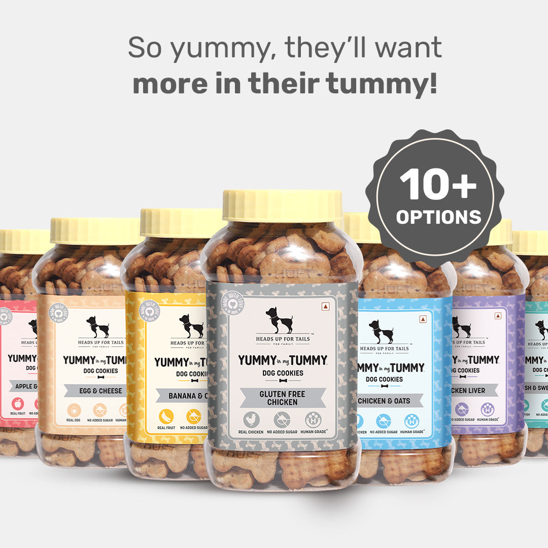 HUFT YIMT Real Chicken Dog Biscuits - Gluten Free - Heads Up For Tails