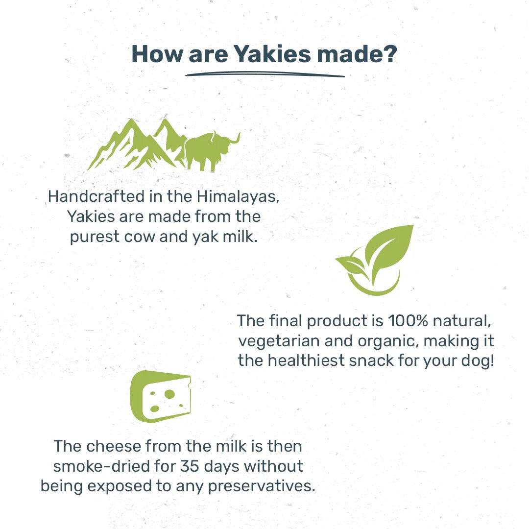 HUFT Yakies Vegetarian Natural Chew Bone - Mint