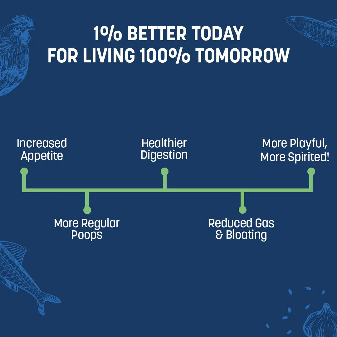 Sara's Boosters Gut & Digestive Health Supplement For Dogs - 200 gm