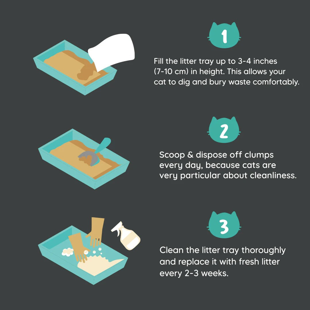 Meowsi by HUFT Tofu Cat Litter - Unscented - 6 Ltr