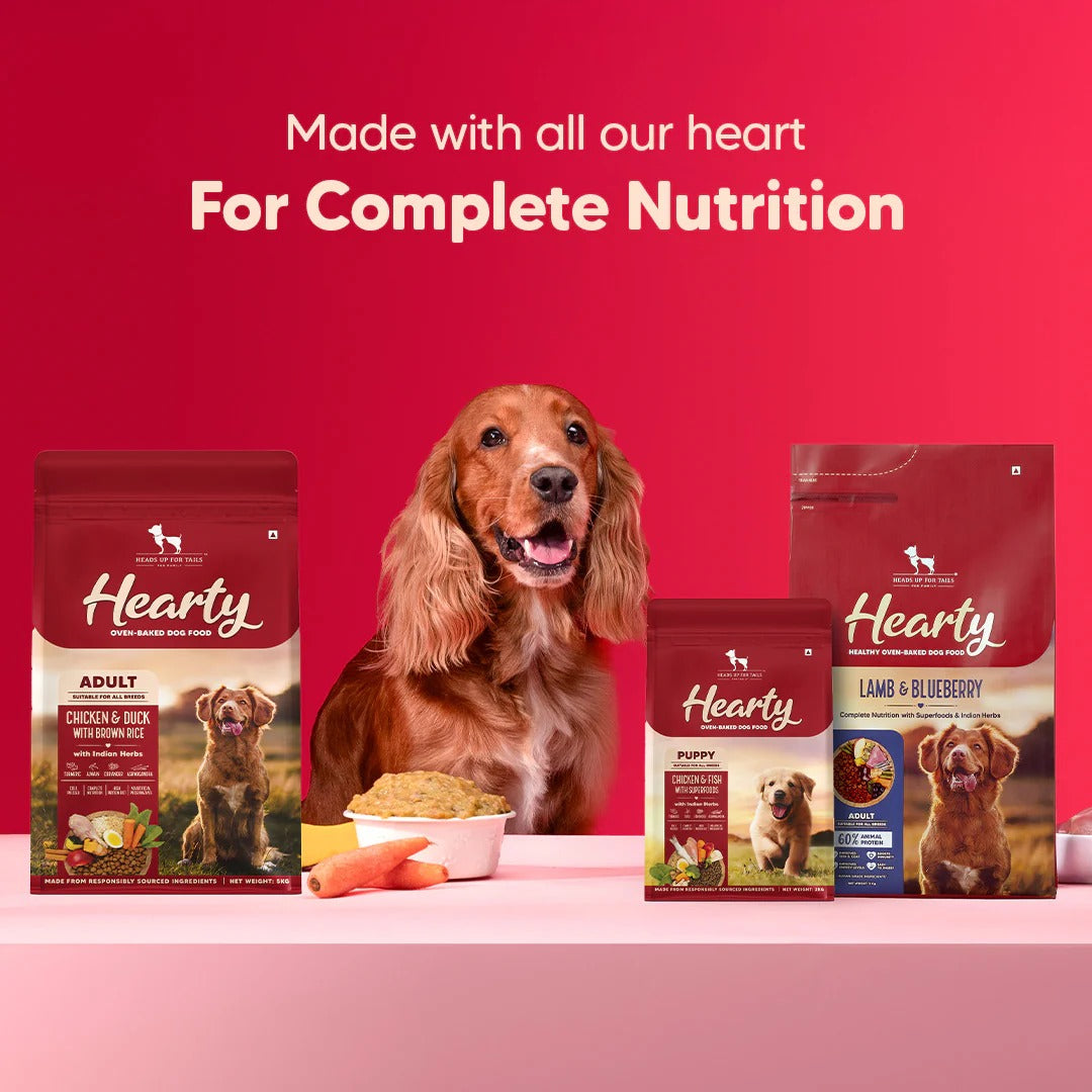 Hearty Lamb & Blueberry Oven-Baked Adult Dog Food - All Breeds