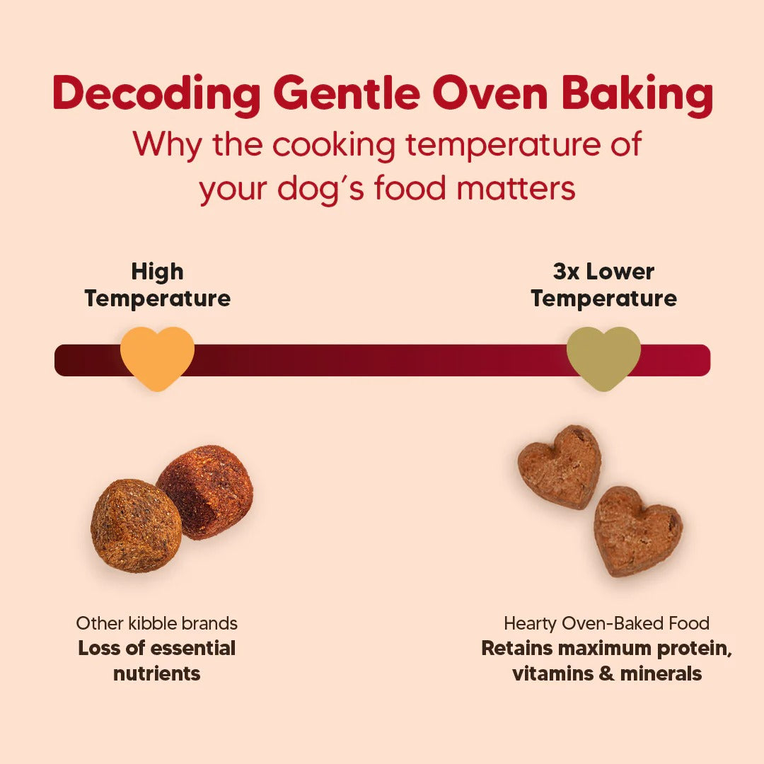 Hearty Lamb & Blueberry Oven-Baked Adult Dog Food - All Breeds