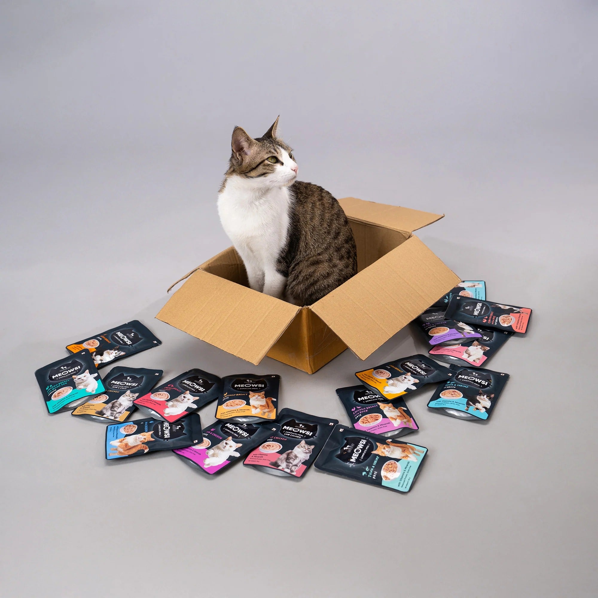 Meowsi by HUFT Low Calorie Light Chicken Mousse Wet Food For Cat - 70 gm