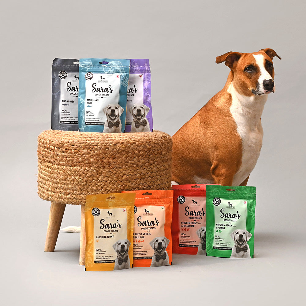 Sara's Dehydrated Anchovy Doggie Treats - 70 g-3