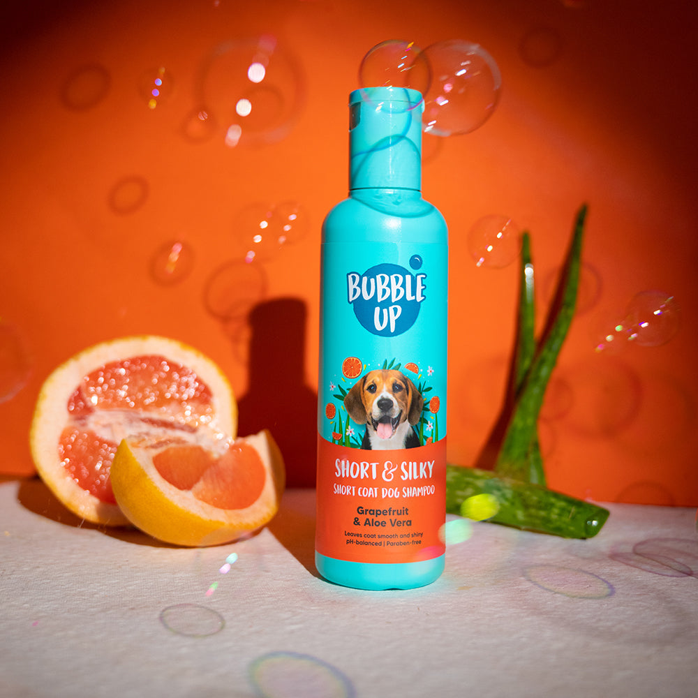Bubble Up - Short & Silky Short Coat Dog Shampoo-2