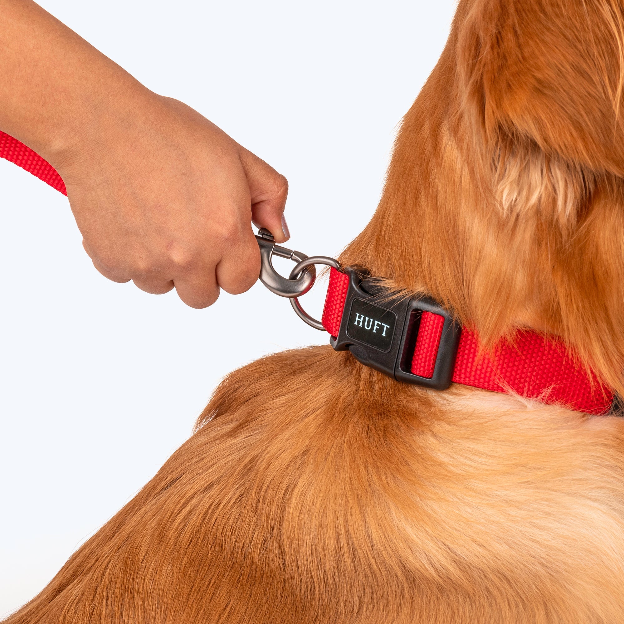 HUFT Basics Dog Collar - Crimson Red - Heads Up For Tails