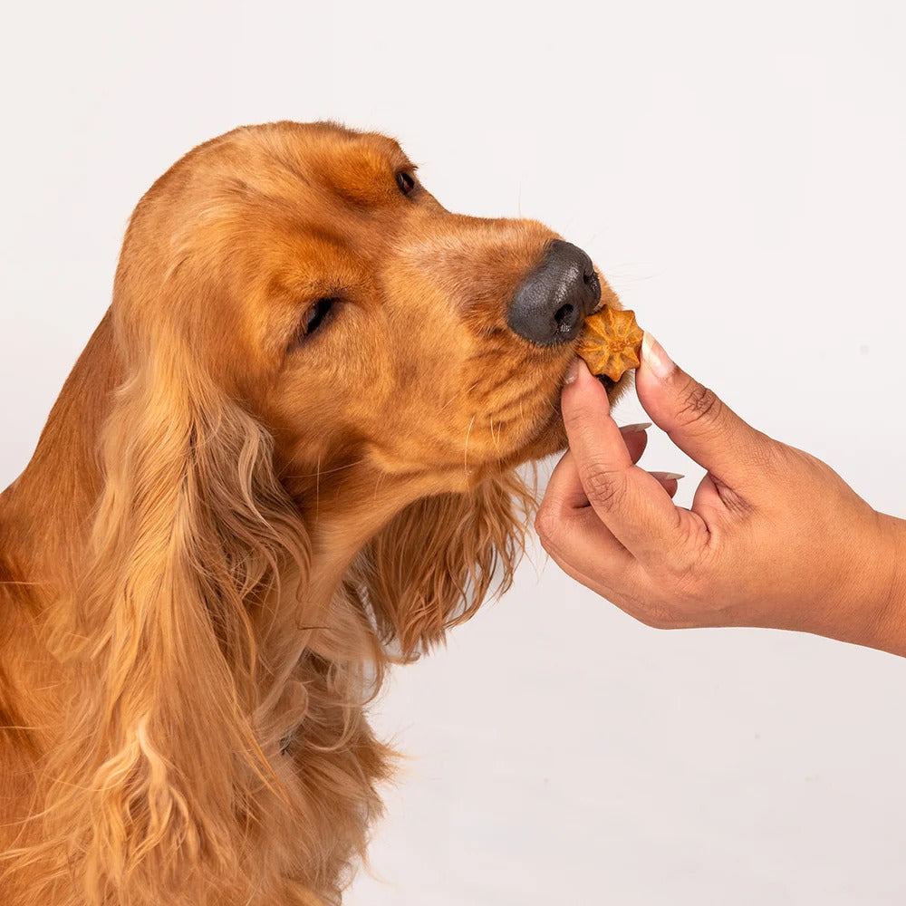 HUFT Goat Milk Dog Cookies - Blueberry - 200 g