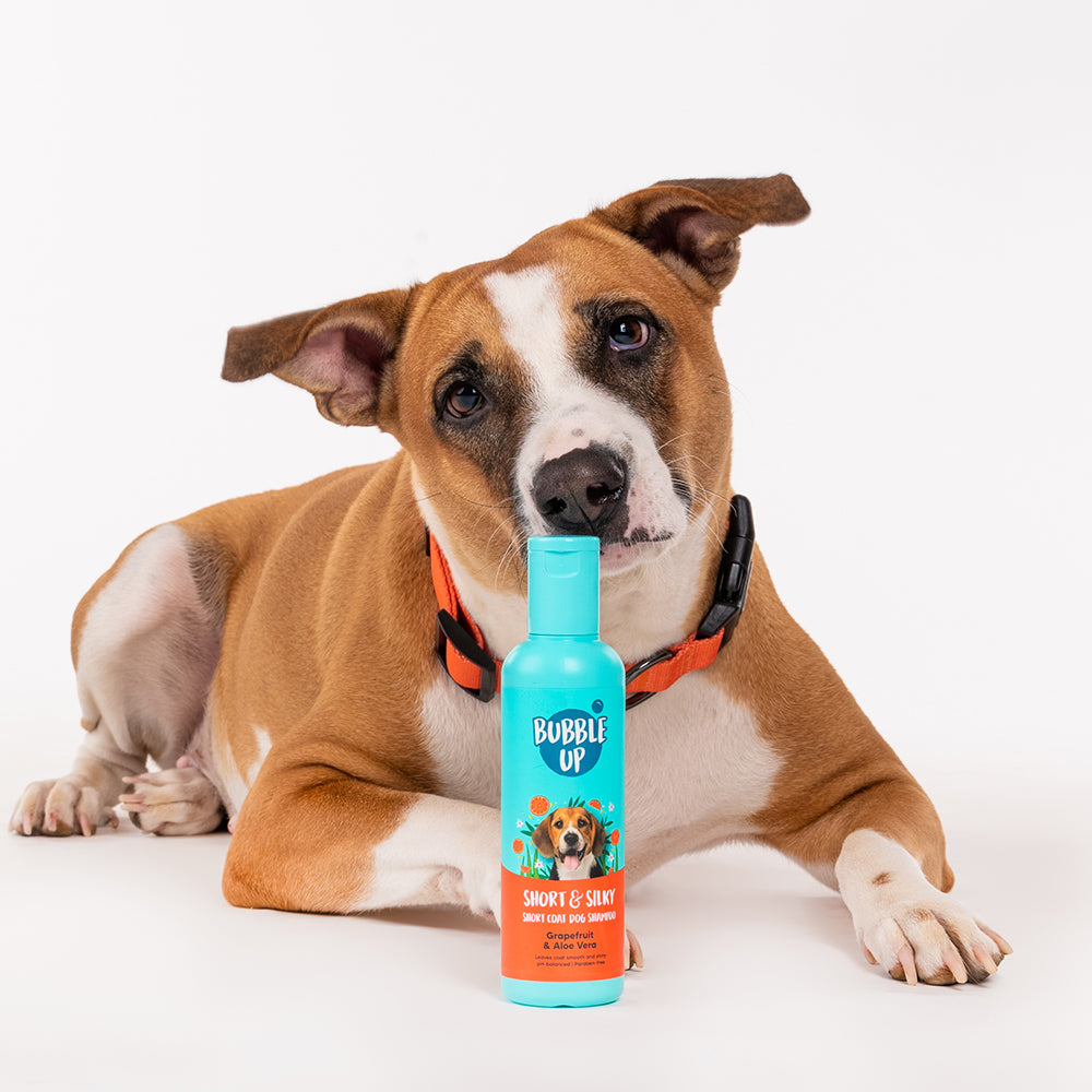 Bubble Up - Short & Silky Short Coat Dog Shampoo-4