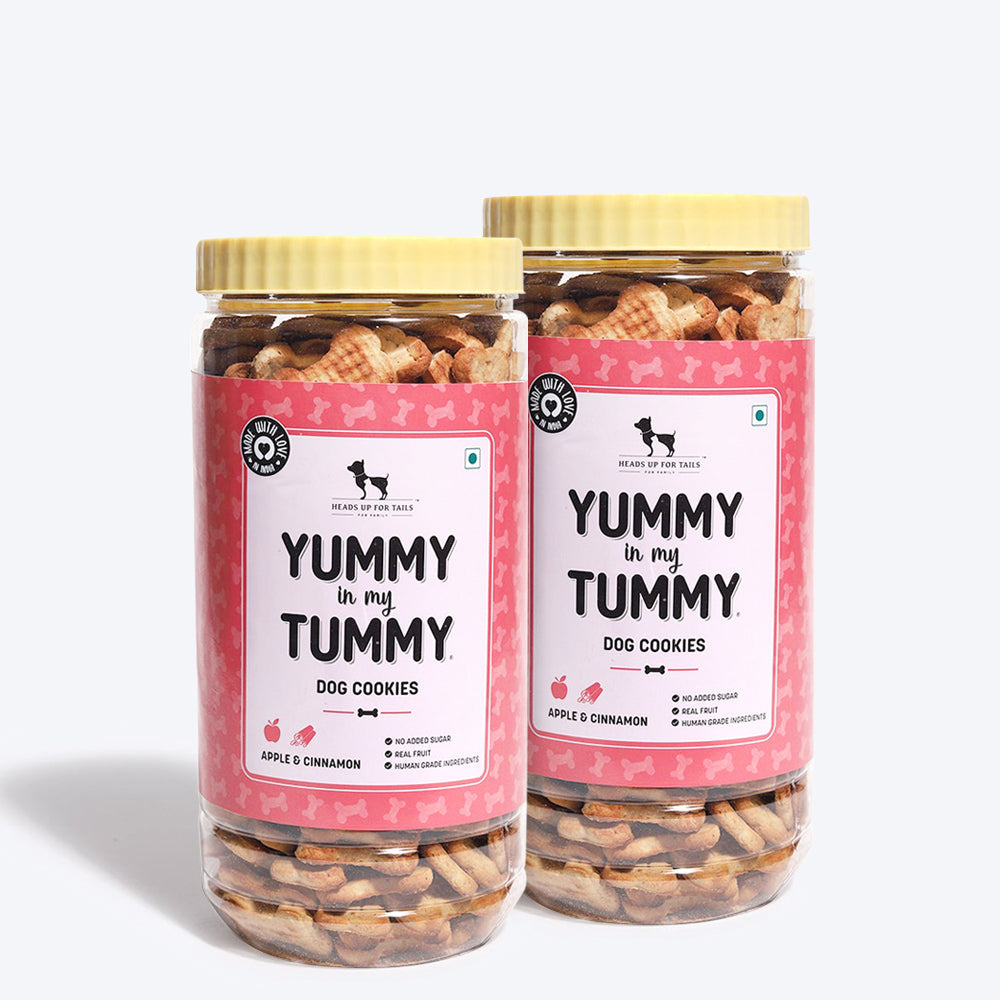 HUFT YIMT Apple and Cinnamon Vegetarian Dog Biscuits - Heads Up For Tails