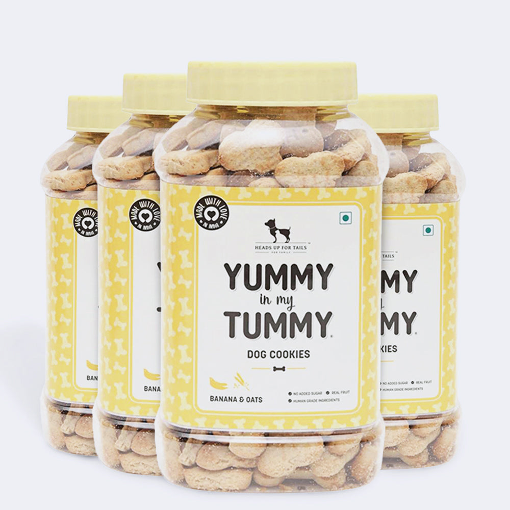 HUFT YIMT Banana & Oats Vegetarian Dog Biscuits - Heads Up For Tails