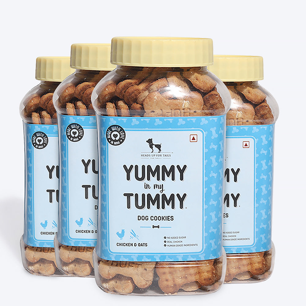 HUFT YIMT Chicken & Oats Dog Biscuits - Heads Up For Tails