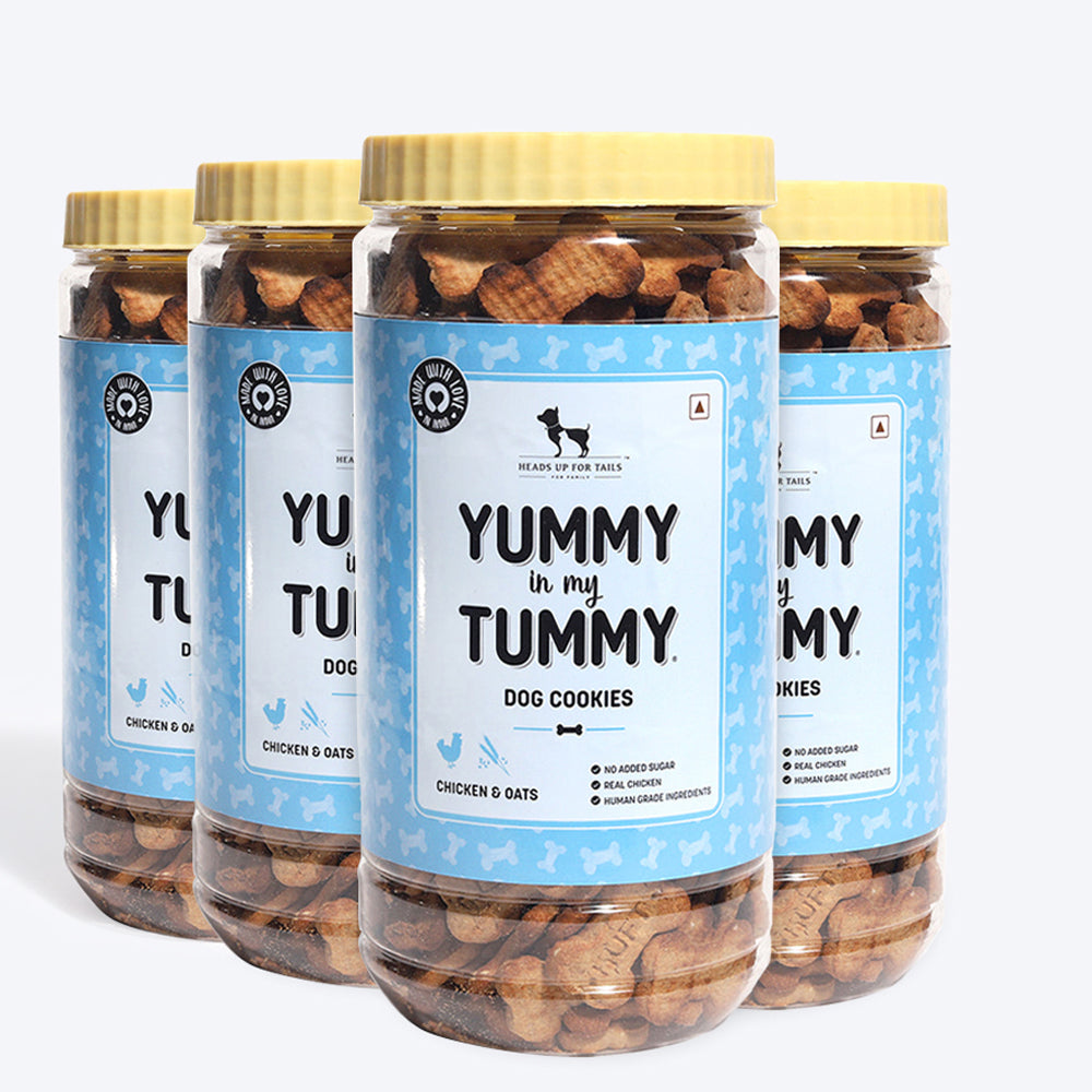 HUFT YIMT Chicken & Oats Dog Biscuits - Heads Up For Tails
