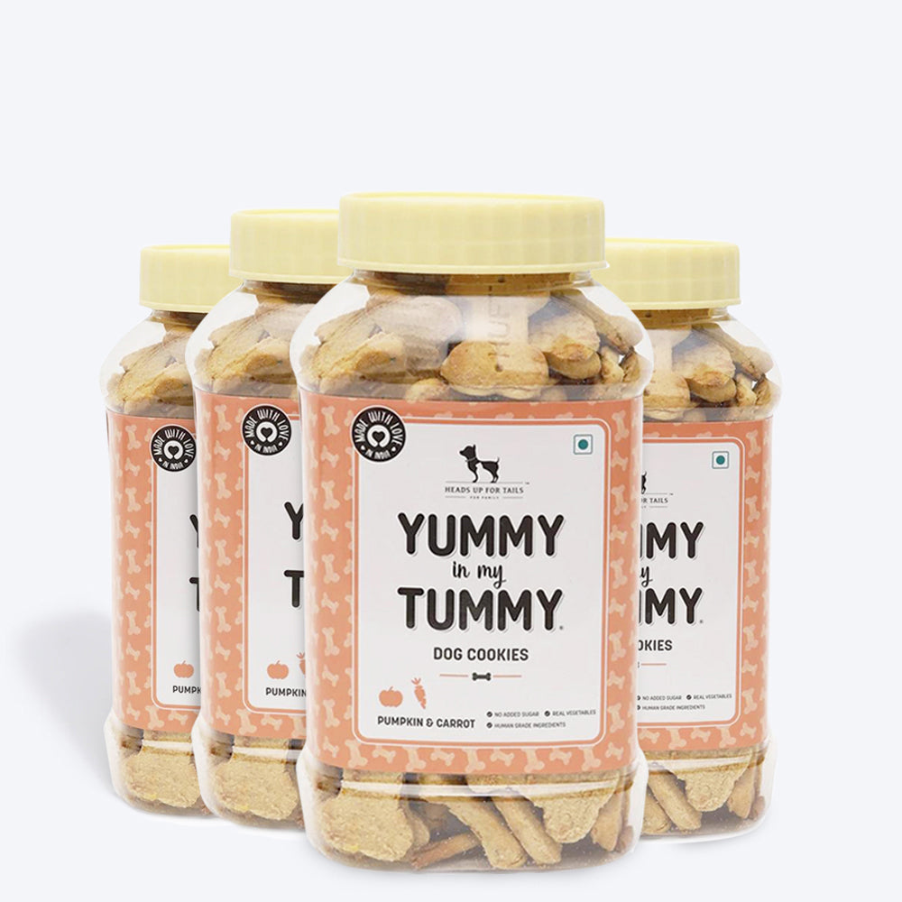 HUFT YIMT Pumpkin and Carrots Vegetarian Dog Biscuits - Heads Up For Tails