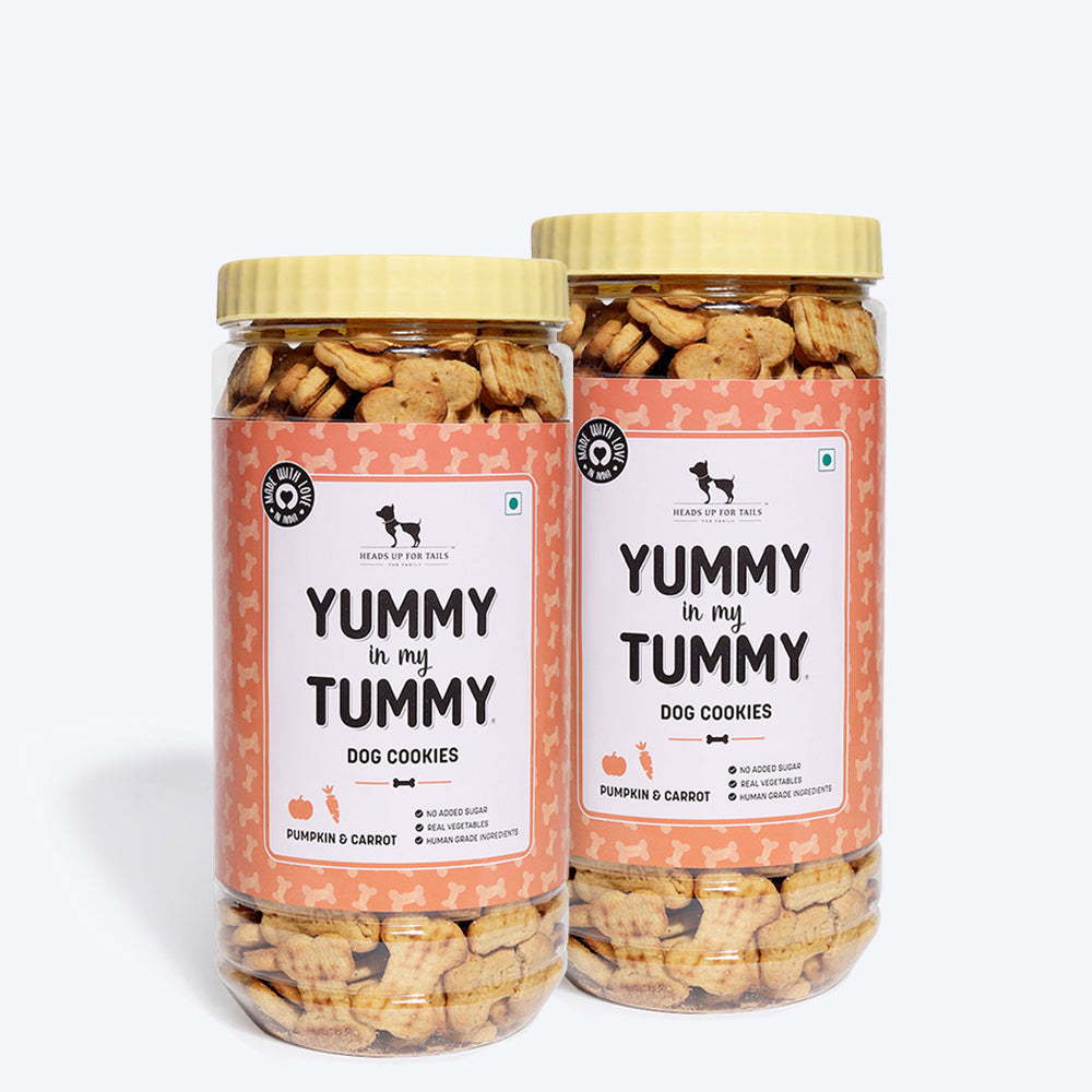 HUFT YIMT Pumpkin and Carrots Vegetarian Dog Biscuits - Heads Up For Tails
