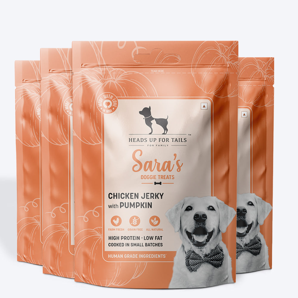 HUFT Sara's Doggie Treats - Chicken Jerky with Pumpkin - 70 g - Heads Up For Tails