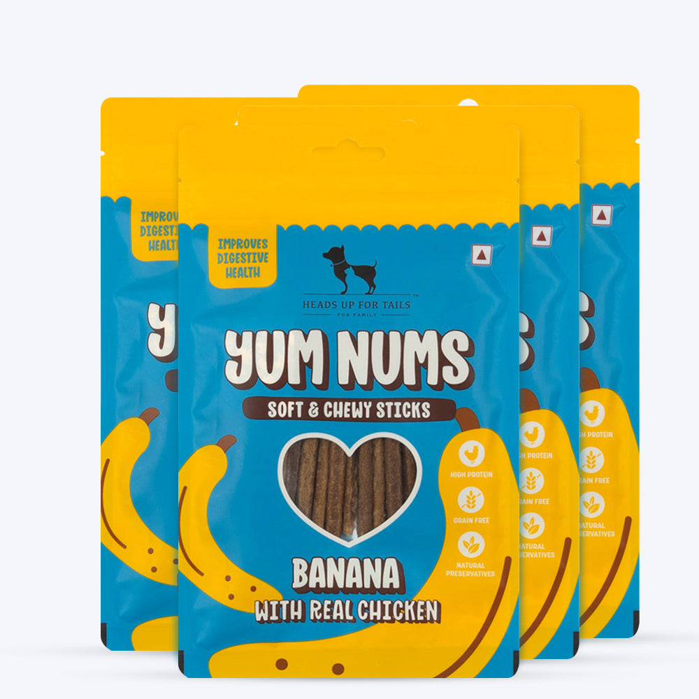 HUFT Yum Nums Soft & Chewy Sticks Banana with Real Chicken Treat For Dogs - 75g - Heads Up For Tails