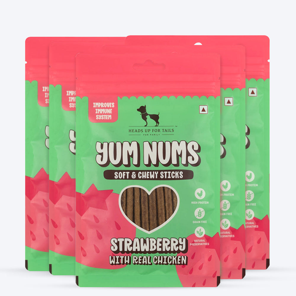 HUFT Yum Nums Soft & Chewy Sticks Strawberry with Real Chicken Treat For Dogs - 75g - Heads Up For Tails