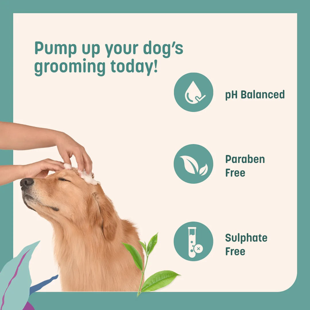 HUFT Waterless Cleansing & No Rinse Dry Shampoo For Dog - 140 ml