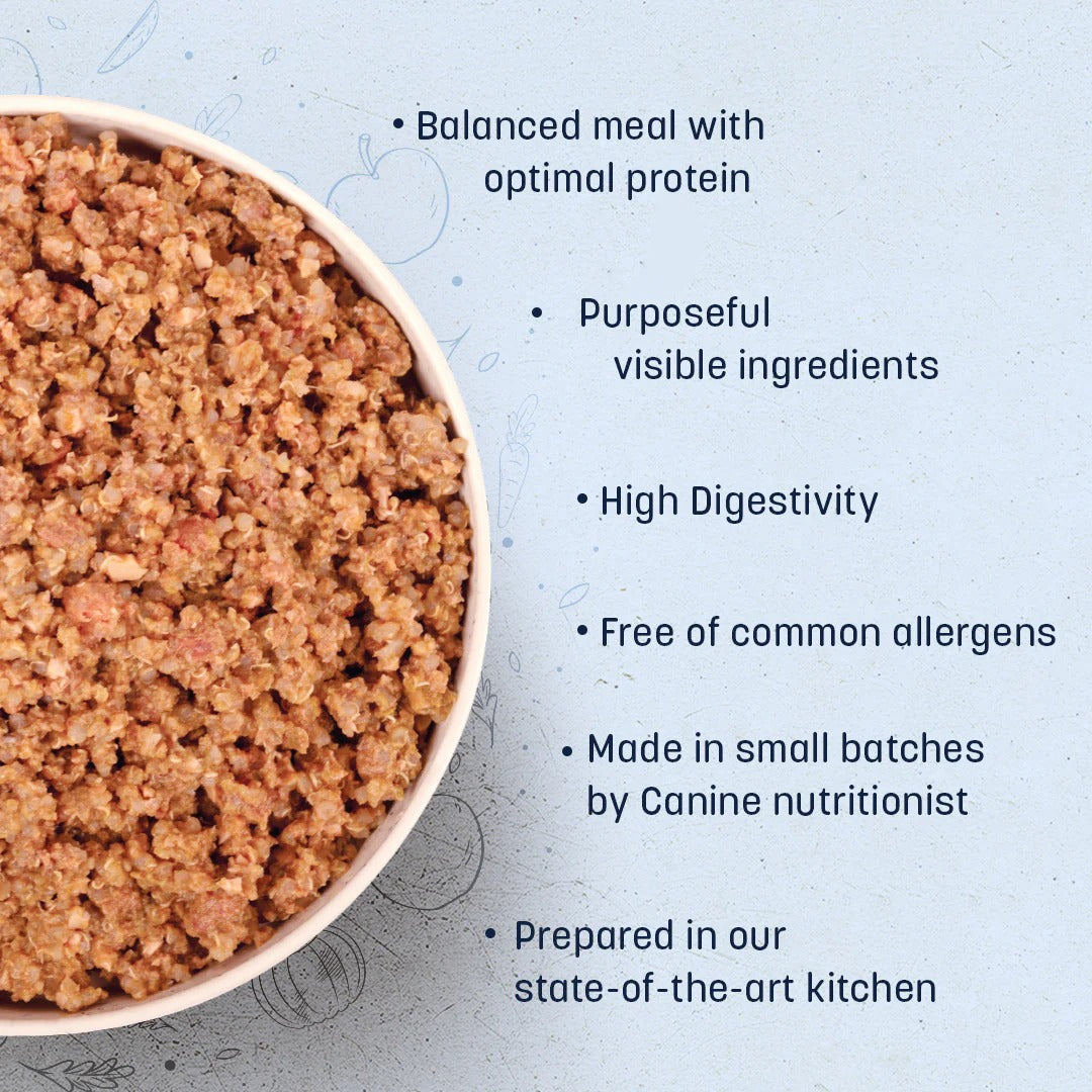 HUFT Sara's Wholesome Hypoallergenic Diet Duck & Quinoa Dog Wet Food - 300 g