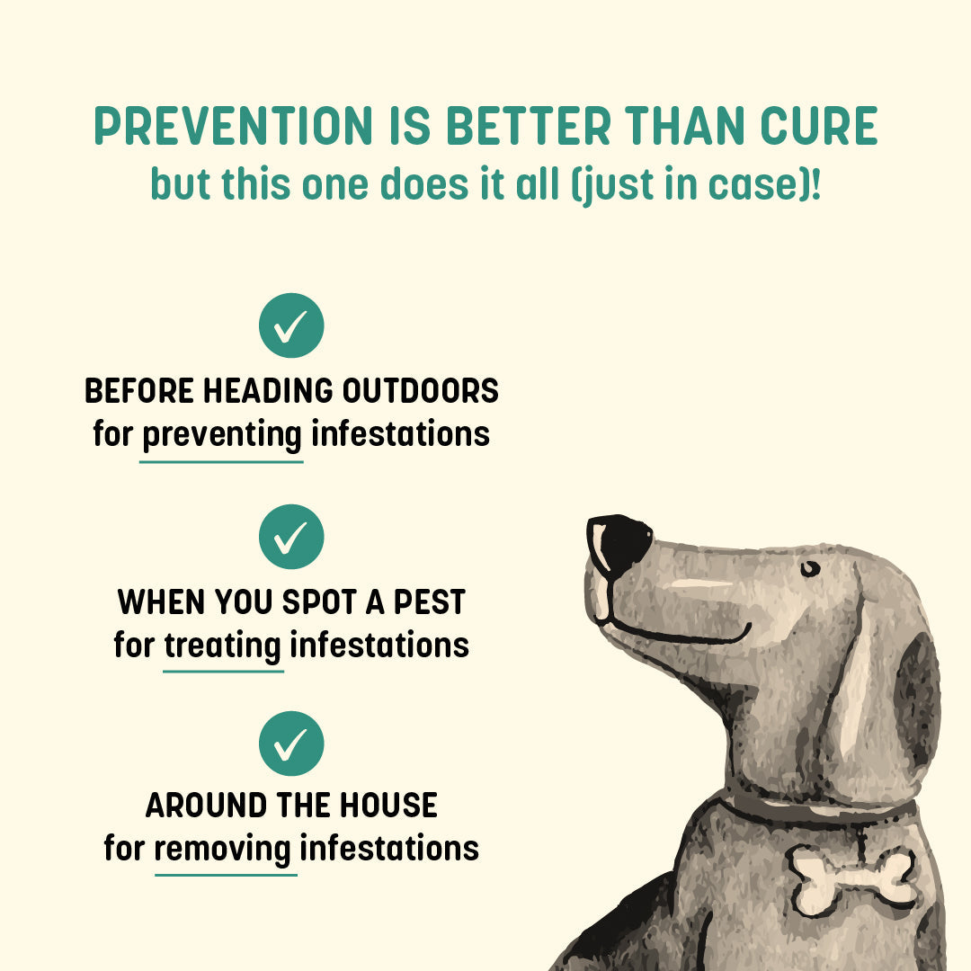 HUFT Natural Anti Tick and Flea Powder for Dogs & Cats - 100 g - Heads Up For Tails