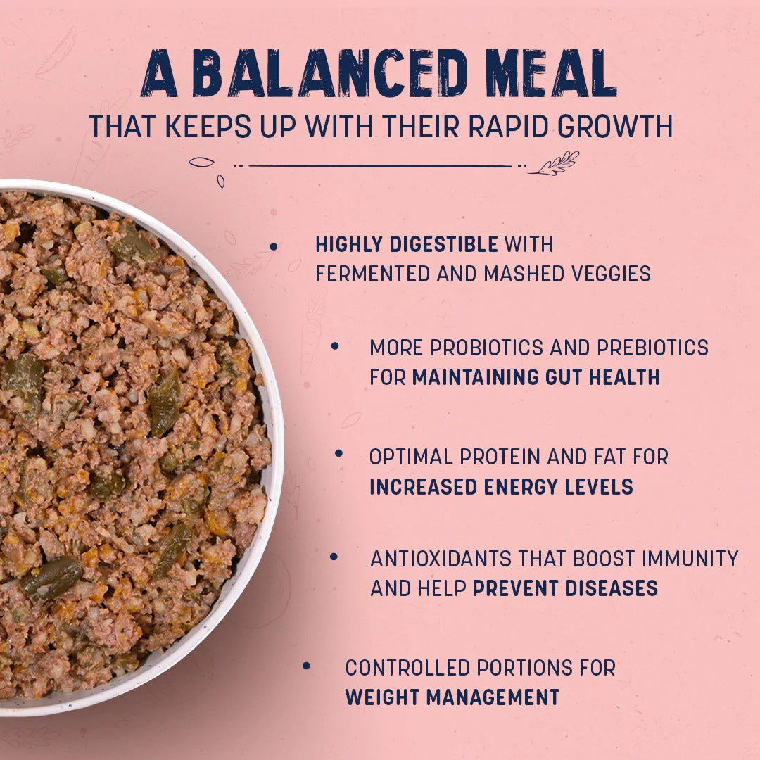 Sara's Wholesome Chicken & Brown Rice Wet Food For Puppy - 100 gm